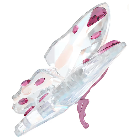Swarovski Collections Idyllia Butterfly Small