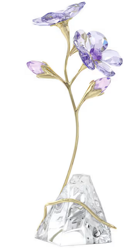 Swarovski Collections Florere Rozanne
