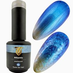 Tino Vo Color Gel Polish, Atlantic Pearlescent Oyster Gel