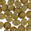 Bling! 1088 Round Pointed Back Chatons Greige MK ss39