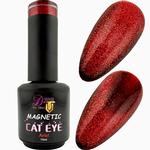 Tino Vo Magnetic Cateye, Ariel