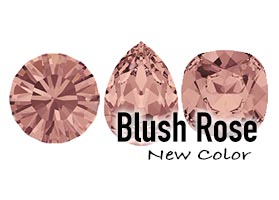 Blush Rose